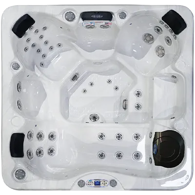 Avalon EC-849L hot tubs for sale in Round Rock